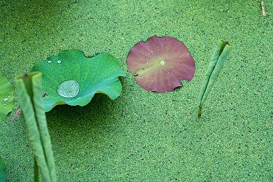 343首次展示《光环：无限》战役合作模式内容